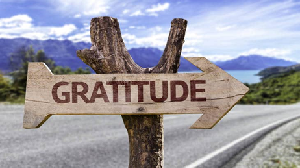 Sign with the word gratitude on it